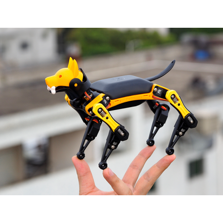 Petoi Bittle Bionic Open Source Robot Dog STEM with Free Course