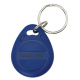 RFID Blue Eye Key Fob Tag