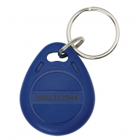 RFID Blue Eye Key Fob Tag