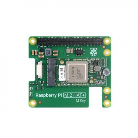 Raspberry Pi 5 AI Kit Hailo AI Acceleration Module with Raspberry Pi M.2 HAT + 13 TOPs Computing Power Raspberry Pi 5 HAT