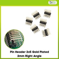Pin Header 2x5 Gold Plated 2mm Right Angle