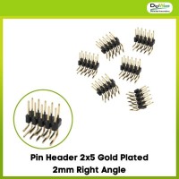 Pin Header 2x5 Gold Plated 2mm Right Angle