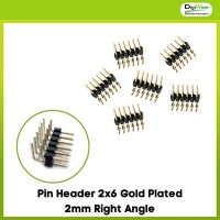 Pin Header 2x6 Gold Plated 2mm Right Angle