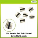 Pin Header 2x6 Gold Plated 2mm Right Angle