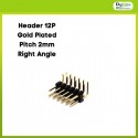 Pin Header 2x6 Gold Plated 2mm Right Angle