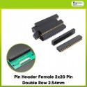 Pin Header Female 2x20 Pin Double Row 2.54mm