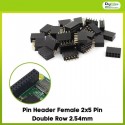 Pin Header Female 2x5 Pin Double Row 2.54mm