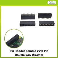 Pin Header Female 2x10 Pin Double Row 2.54mm