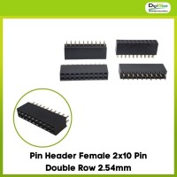 Pin Header Female 2x10 Pin Double Row 2.54mm