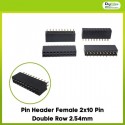 Pin Header Female 2x10 Pin Double Row 2.54mm