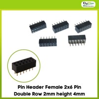 Pin Header Female 2x6 Pin Double Row 2mm height 4mm