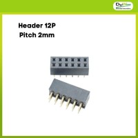 Pin Header Female 2x6 Pin Double Row 2mm height 4mm