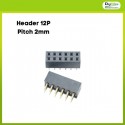 Pin Header Female 2x6 Pin Double Row 2mm height 4mm