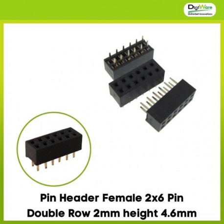 Pin Header Female 2x6 Pin Double Row 2mm height 4.6mm