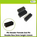 Pin Header Female 2x6 Pin Double Row 2mm height 4.6mm
