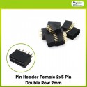 Pin Header Female 2x5 Pin Double Row 2mm
