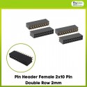 Pin Header Female 2x10 Pin Double Row 2mm