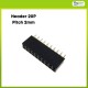 Pin Header Female 2x10 Pin Double Row 2mm