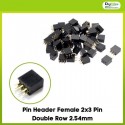 Pin Header Female 2x3 Pin Double Row 2.54mm