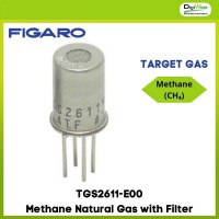TGS2611-E00 Methane Natural Gas with Filter