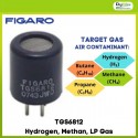 TGS6812 Hydrogen, Methan, LP Gas