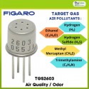TGS2603 Air Quality / Odor