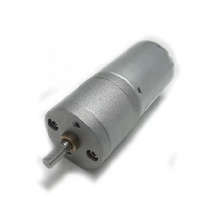 High Torque DC Motor 25GA370 12V 100RPM