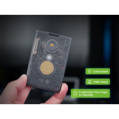 SenseCAP Card Tracker T1000-E for LoRaWAN