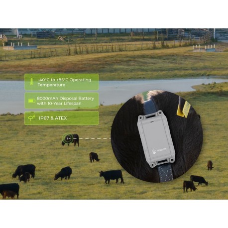 SenseCAP Asset Tracker T2000-A for Indoor and Outdoor Positioning