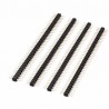 Pin Header 1x40 Gold Plate 2.54mm Double Row Round Male