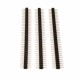 Pin Header 1x40 Gold Plate 2.54mm Double Row Round Male