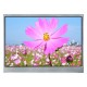 Graphic LCD Color 480x272 /w Touch Panel WF43CTIBEDAC0