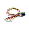Grove - 4 pin Female jumper to Grove 4 pin Conversion Cable 30cm